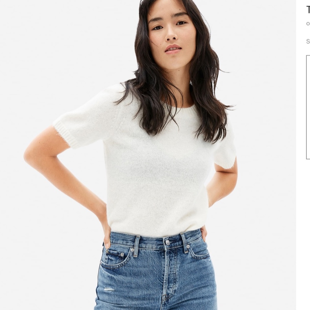 Everlane Alpaca Sweater Tee